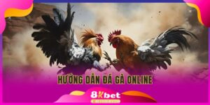 hướng dẫn đá gà online