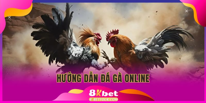 hướng dẫn đá gà online