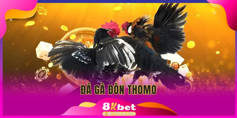 Đá gà đòn thomo